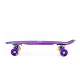PNB01 RAINBOW ELECTROSTYLE PENNYBOARD DESKOROLKA NILS EXTREME