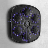 TARCZA BOKSERSKA LED BLUETOOTH Z MUZYKĄ HMS TB03 + RĘKAWICE