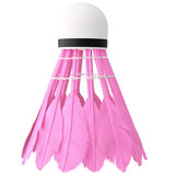 LOTKI Z PIÓR NBL6216 MULTICOLOR 6 SZT. NILS