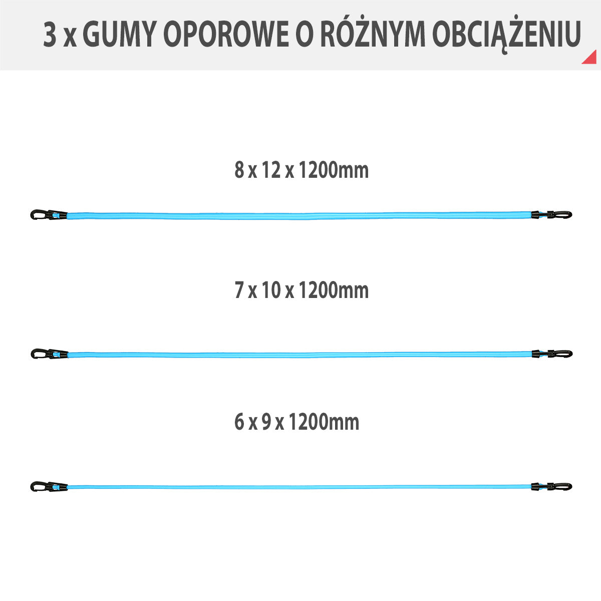 TX01 ZESTAW DO ĆWICZEŃ SIŁOWYCH HMS