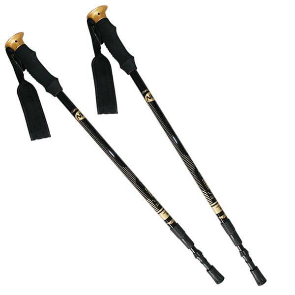 NW-TK19  KIJE TREKKING/NORDIC WALKING 50% CARBON NILS