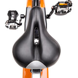 SW2100 ROWER Spin Bike 20KG HMS PREMIUM