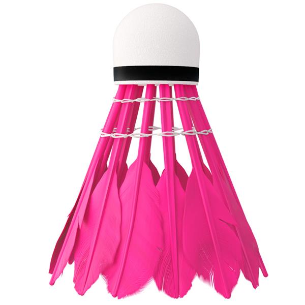 LOTKI Z PIÓR NBL6216 MULTICOLOR 6 SZT. NILS