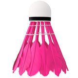 LOTKI Z PIÓR NBL6216 MULTICOLOR 6 SZT. NILS