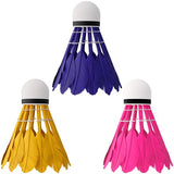 LOTKI Z PIÓR NBL6216 MULTICOLOR 6 SZT. NILS