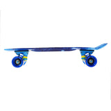 PENNYBOARD ART SKY NILS EXTREME