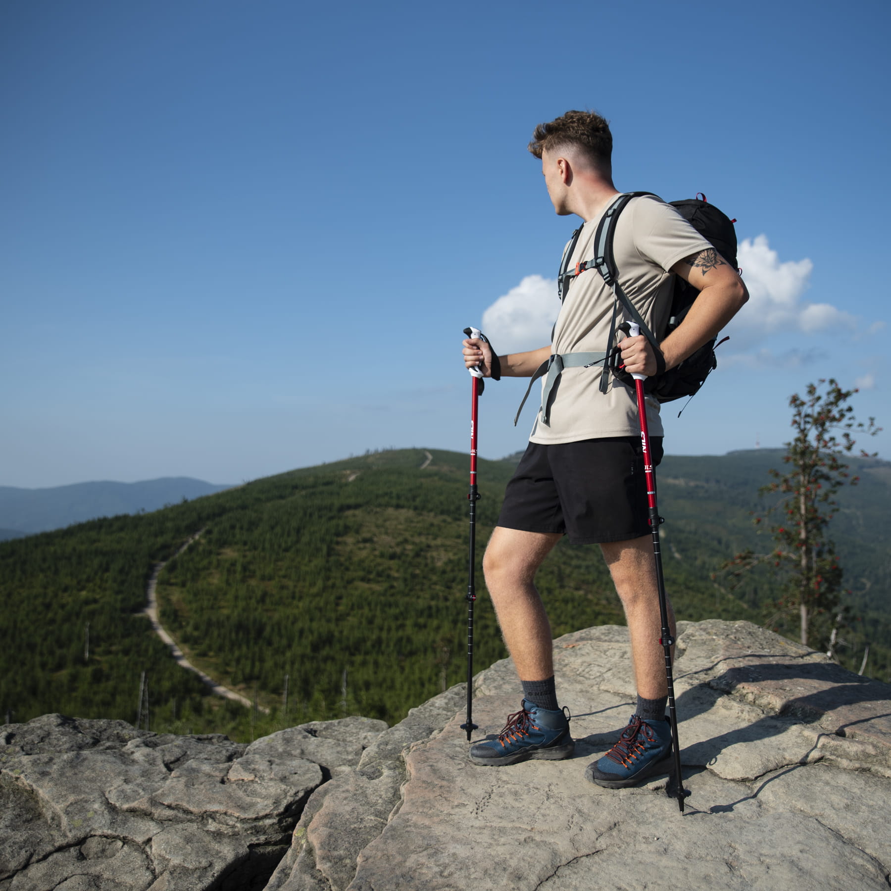 KIJE TREKKINGOWE RED NOWOCZESNY UCHWYT ALUMINIUM TRÓJSEKCYJNE NILS TK8601