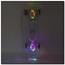 PENNYBOARD LED TRANSPARENT NILS EXTREME