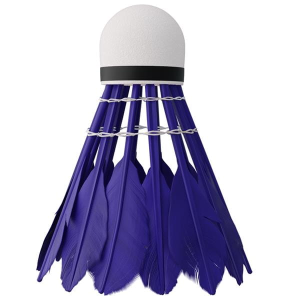 LOTKI Z PIÓR NBL6216 MULTICOLOR 6 SZT. NILS