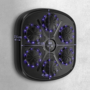 TARCZA BOKSERSKA LED BLUETOOTH Z MUZYKĄ HMS TB03 + RĘKAWICE