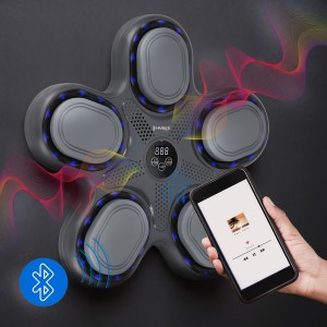 ELEKTRONICZNA TARCZA BOKSERSKA BLUETOOTH Z MUZYKĄ I RĘKAWICAMI HMS TB11