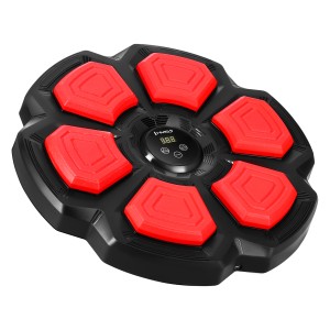 ELEKTRONICZNA TARCZA BOKSERSKA BLUETOOTH Z MUZYKĄ I RĘKAWICAMI HMS TB06 