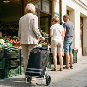 WÓZEK ZAKUPOWY SKŁADANY 45L CZARNY NILS NC4304