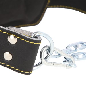 PAS OBCIĄŻENIOWY DO ĆWICZEŃ SIŁOWYCH PSTX06 HMS PREMIUM OUTLET