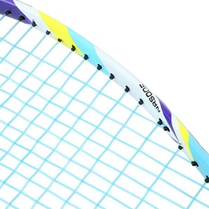 ZESTAW 2 RAKIETY +  LOTKI + ZNACZNIKI + PIŁKA + POKROWIEC NILS NRS005